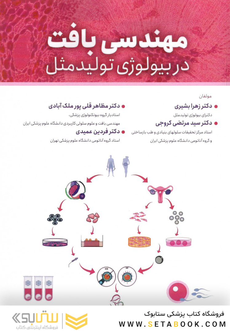 مهندسی بافت در بیولوژی تولید مثل