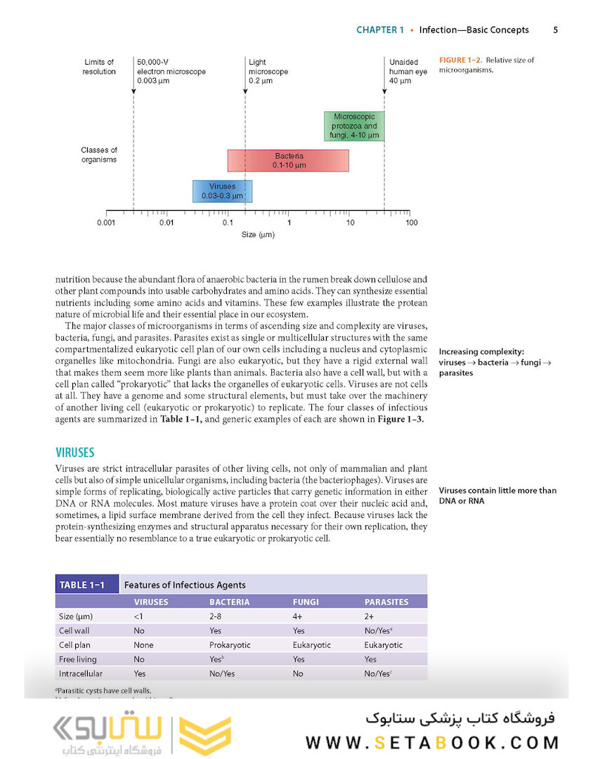 Ryan - Sherris Medical Microbiology, Eighth Edition 2022