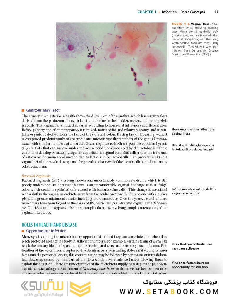 Ryan - Sherris Medical Microbiology, Eighth Edition 2022