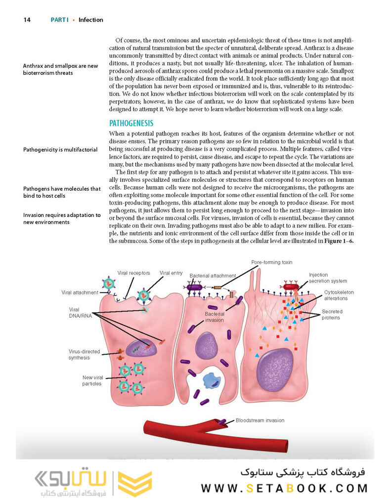 Ryan - Sherris Medical Microbiology, Eighth Edition 2022