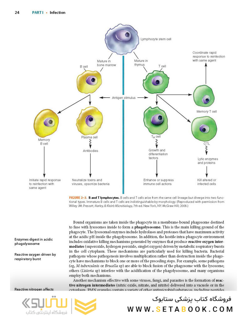 Ryan - Sherris Medical Microbiology, Eighth Edition 2022