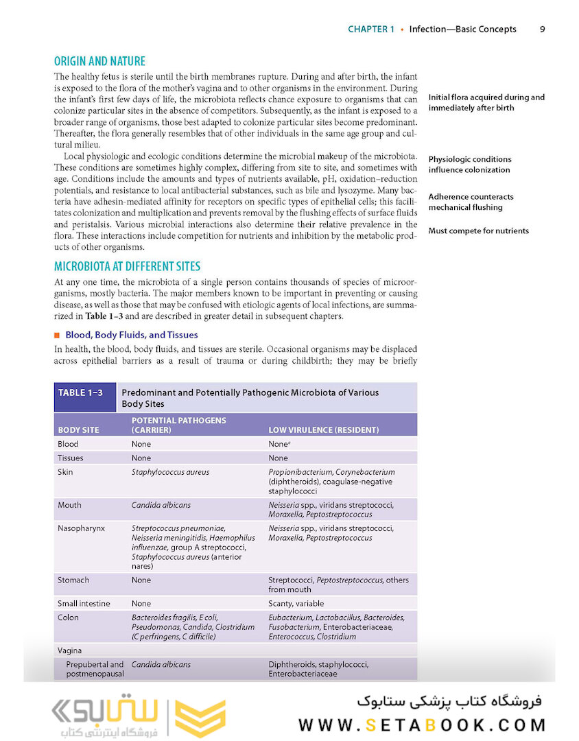 Ryan - Sherris Medical Microbiology, Eighth Edition 2022