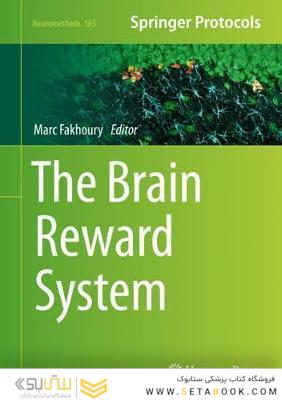 The Brain Reward System