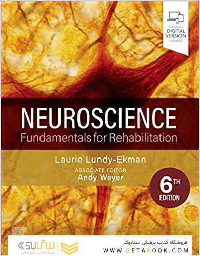 Neuroscience : Fundamentals for Rehabilitation 6th Edition