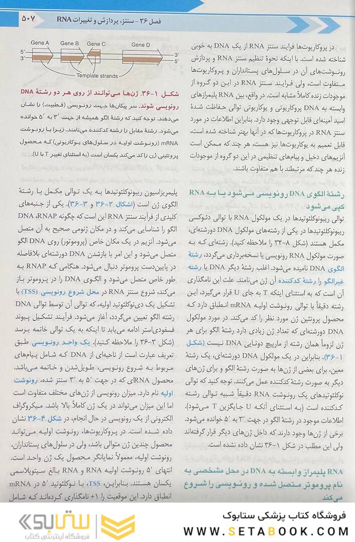 بیوشیمی مصور هارپر 2023 جلد دوم