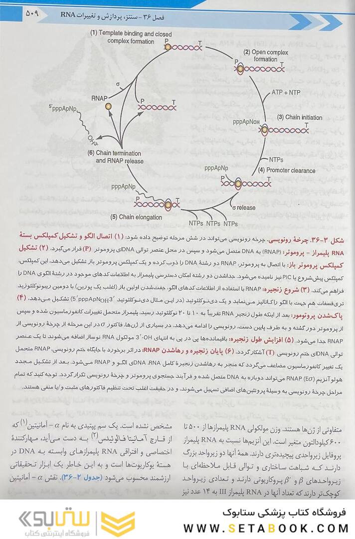 بیوشیمی مصور هارپر 2023 جلد دوم