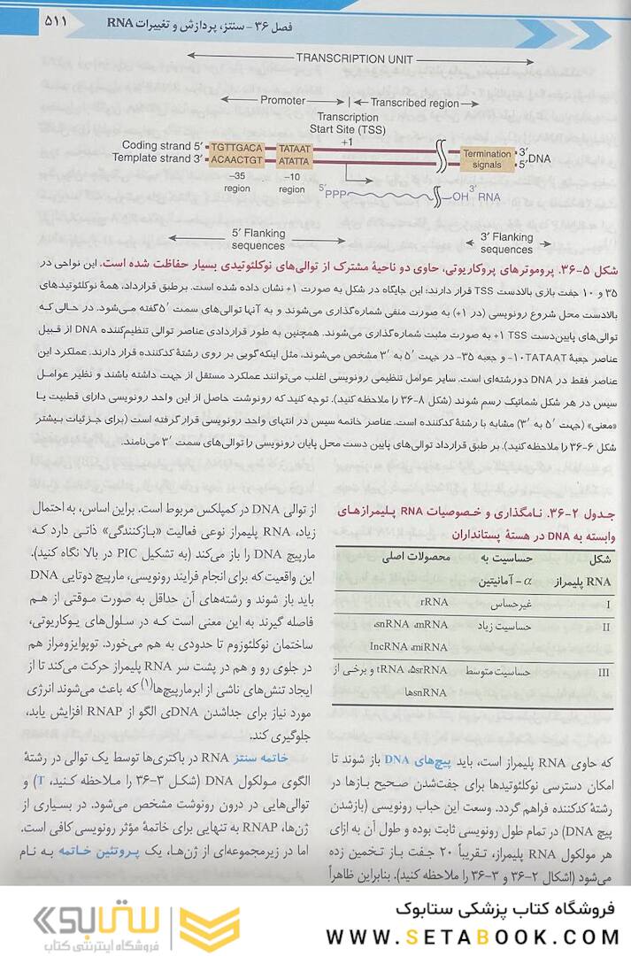بیوشیمی مصور هارپر 2023 جلد دوم