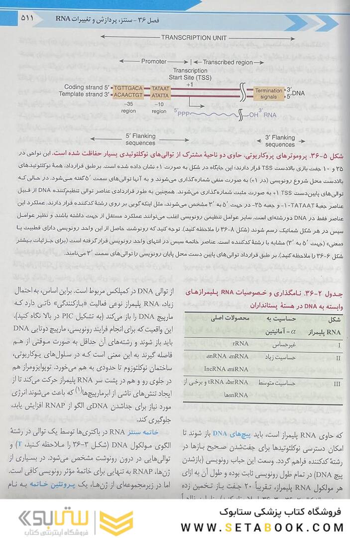 بیوشیمی مصور هارپر 2023 جلد دوم