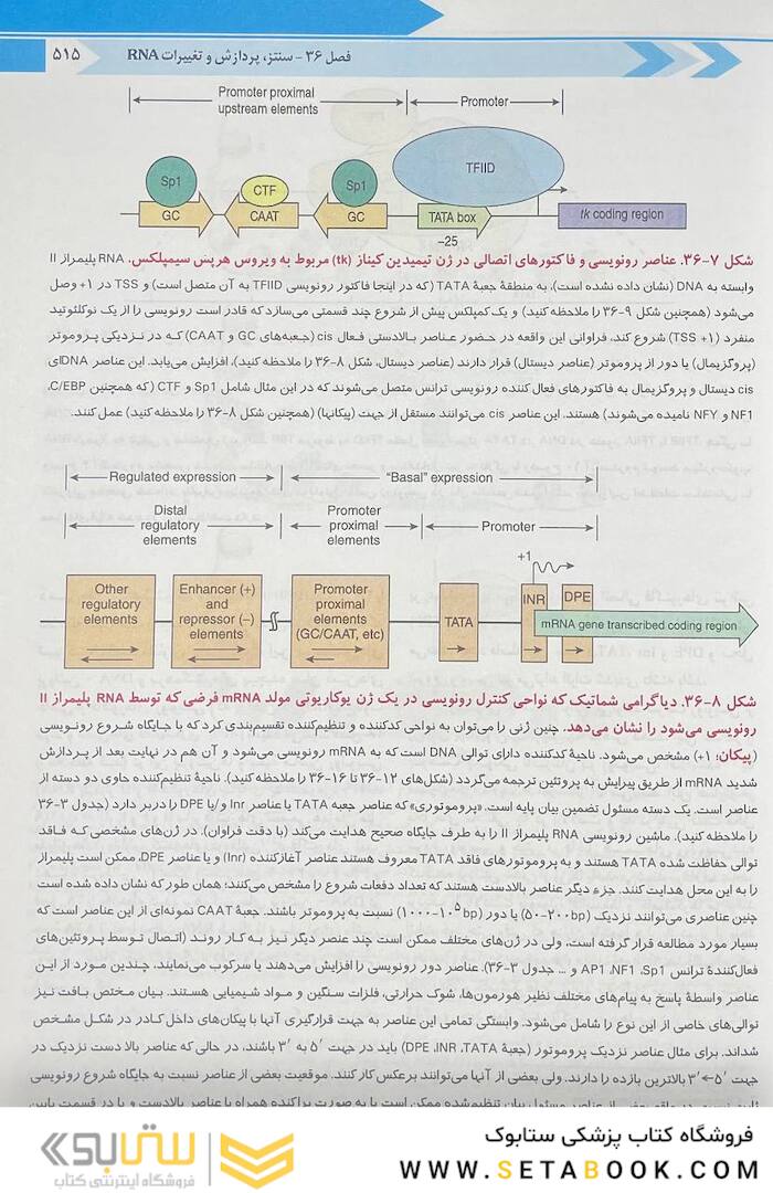 بیوشیمی مصور هارپر 2023 جلد دوم