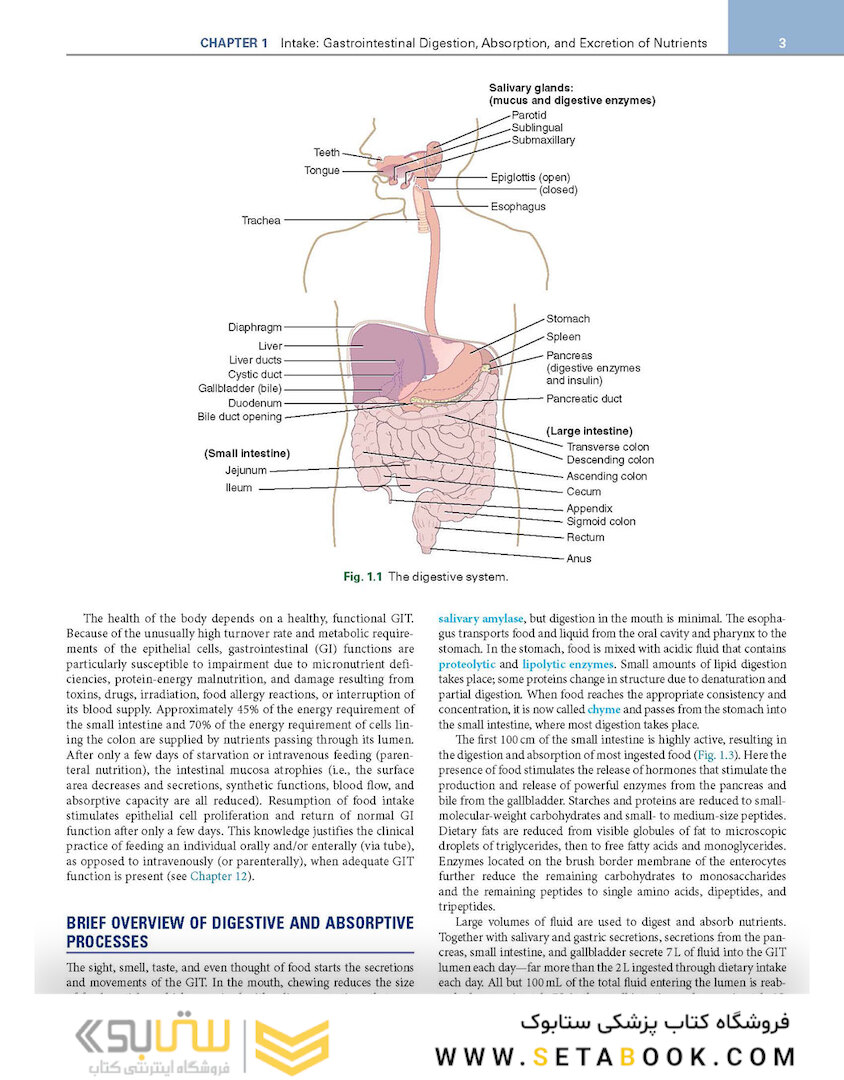Krause and Mahan’s Food and the Nutrition Care Process 16th Edicion 2023