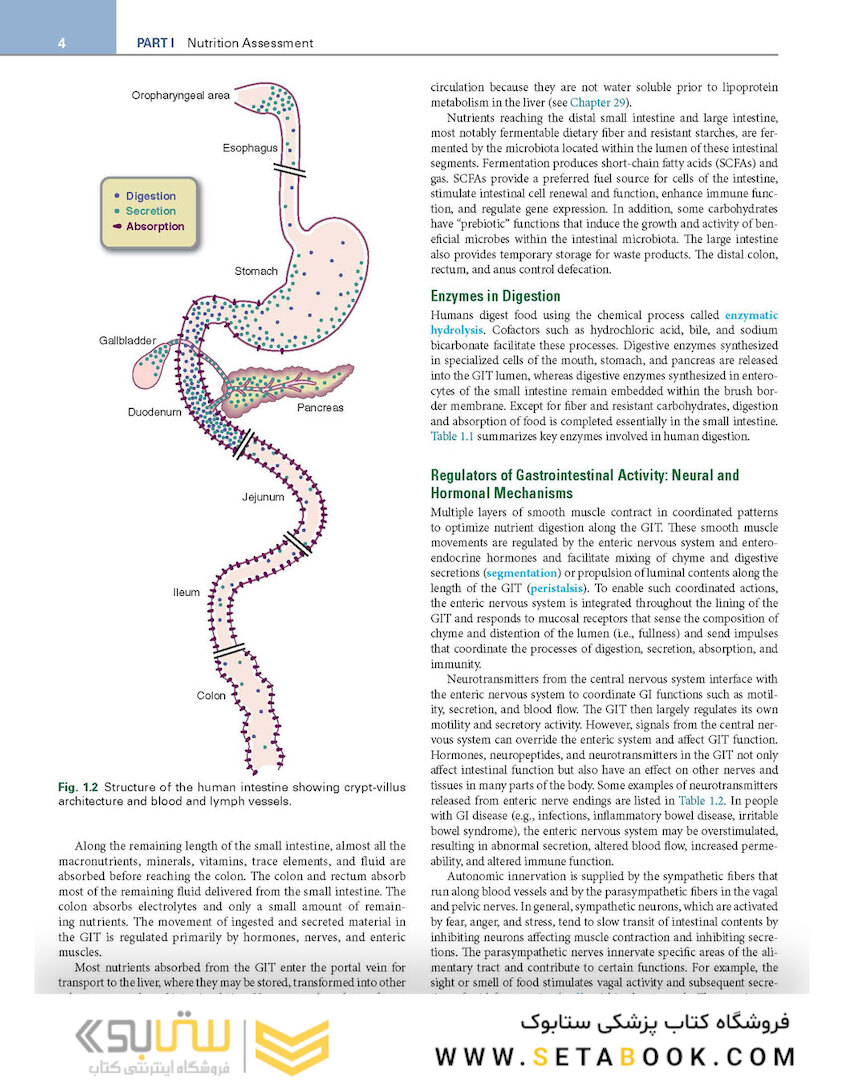 Krause and Mahan’s Food and the Nutrition Care Process 16th Edicion 2023