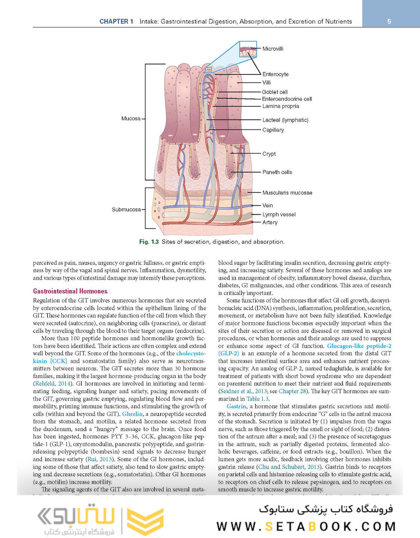 Krause and Mahan’s Food and the Nutrition Care Process 16th Edicion 2023