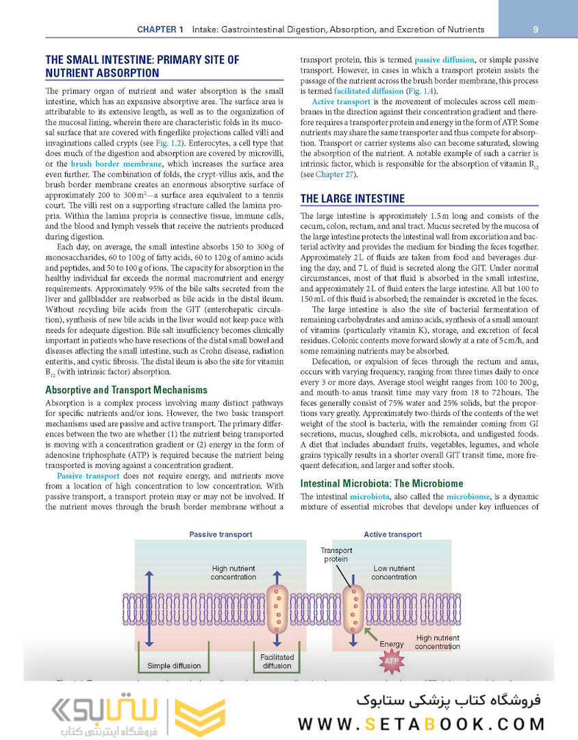 Krause and Mahan’s Food and the Nutrition Care Process 16th Edicion 2023