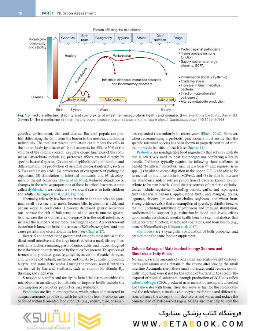 Krause and Mahan’s Food and the Nutrition Care Process 16th Edicion 2023