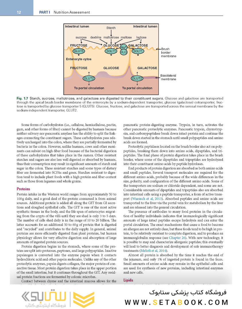 Krause and Mahan’s Food and the Nutrition Care Process 16th Edicion 2023
