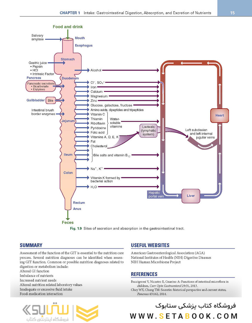 Krause and Mahan’s Food and the Nutrition Care Process 16th Edicion 2023