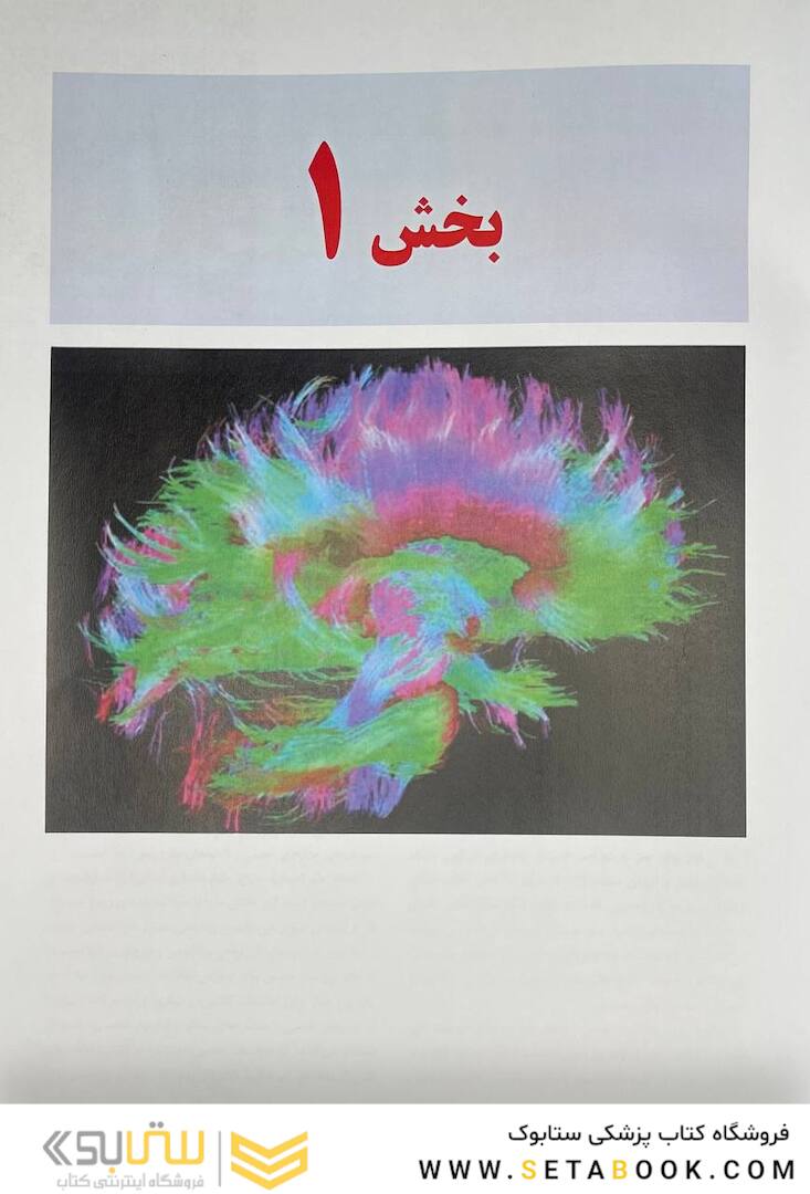 مبانی علوم اعصاب کندل 2021 جلد اول (فصول 1 تا 10)