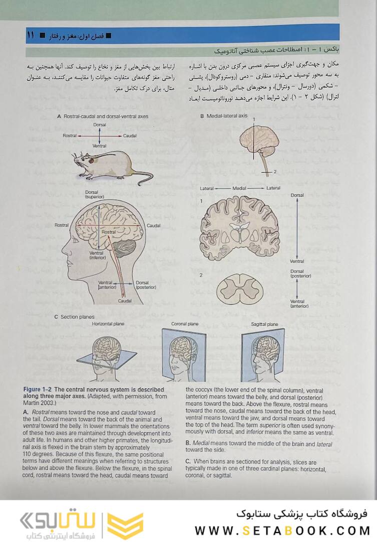مبانی علوم اعصاب کندل 2021 جلد اول (فصول 1 تا 10)