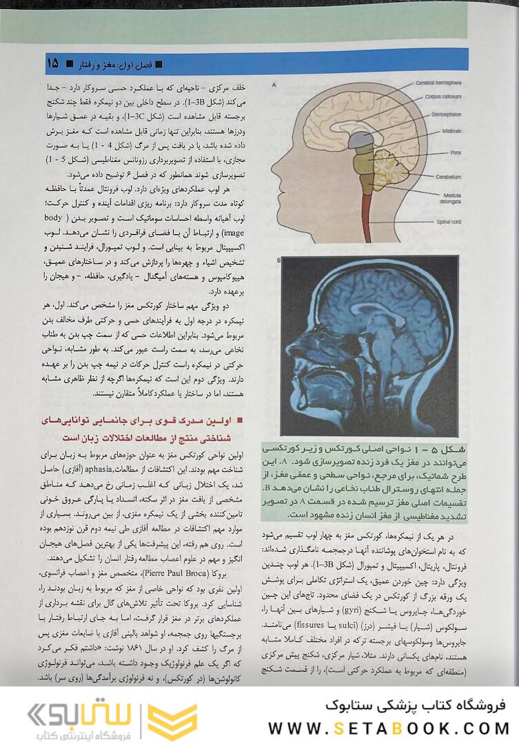 مبانی علوم اعصاب کندل 2021 جلد اول (فصول 1 تا 10)