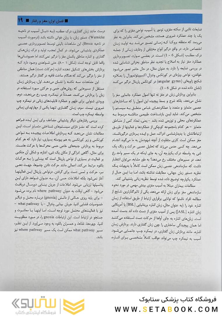 مبانی علوم اعصاب کندل 2021 جلد اول (فصول 1 تا 10)