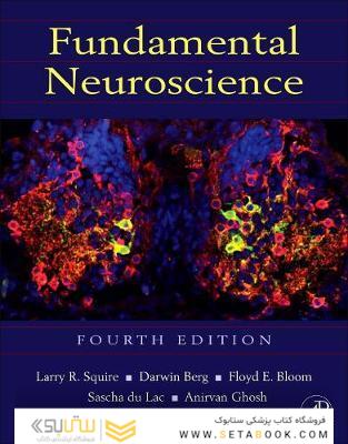 Fundamental Neuroscience