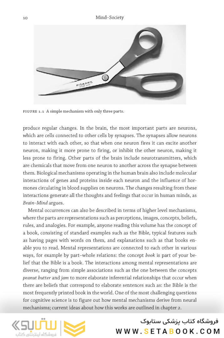 Mind Society: From Brains to Social Sciences and Professions