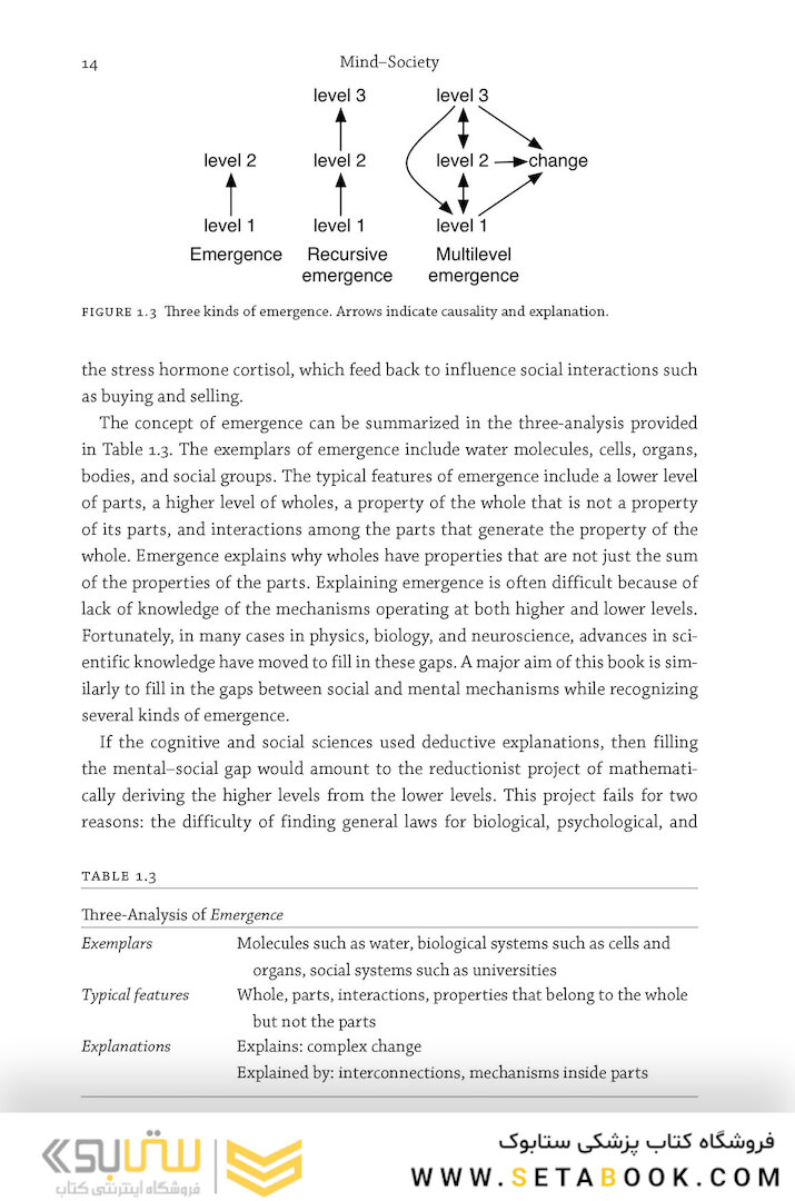 Mind Society: From Brains to Social Sciences and Professions