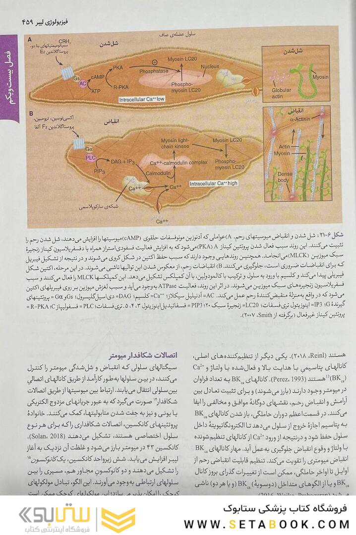 بارداری و زایمان ویلیامز 2022 جلد دوم رنگی ( ویراست بیست و ششم )