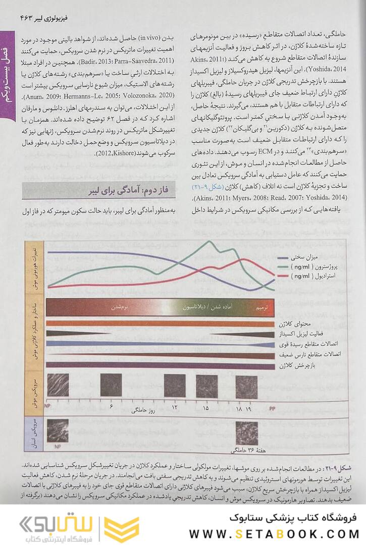بارداری و زایمان ویلیامز 2022 جلد دوم رنگی ( ویراست بیست و ششم )