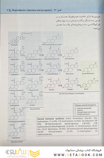 مجموعه سوالات پاتولوژی بالینی هنری 2022 جلد 8 براساس هنری 2022