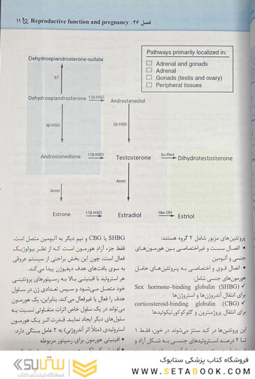 مجموعه سوالات پاتولوژی بالینی هنری 2022 جلد 8 براساس هنری 2022