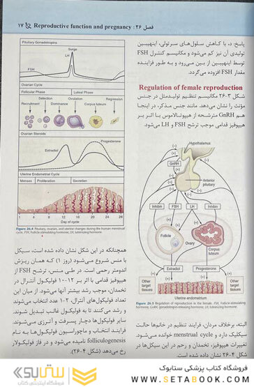 مجموعه سوالات پاتولوژی بالینی هنری 2022 جلد 8 براساس هنری 2022