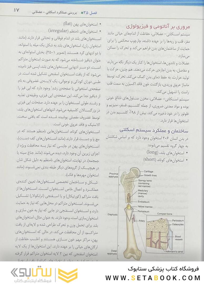 پرستاری داخلی و جراحی برونر و سودارث 2022 تولید مثل جلد 12