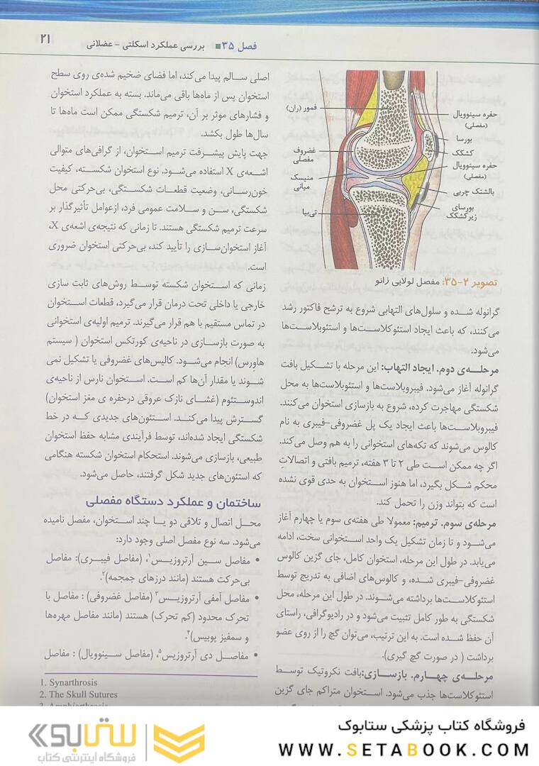 پرستاری داخلی و جراحی برونر و سودارث 2022 تولید مثل جلد 12