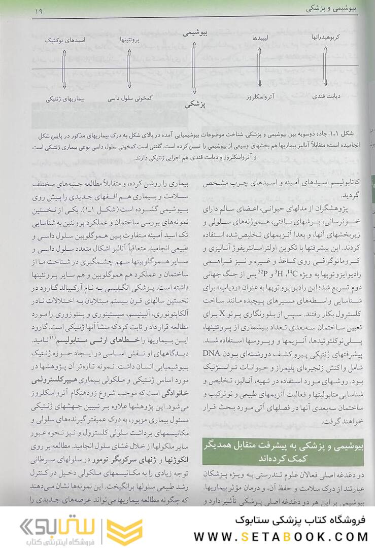 بیوشیمی مصور هارپر 2023