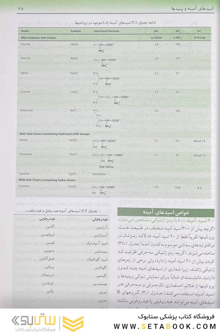 بیوشیمی مصور هارپر 2023