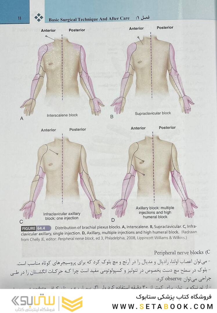 دست کمپل 2021