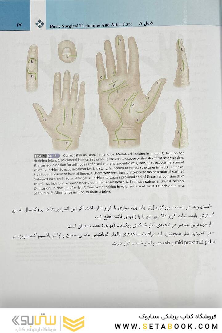 دست کمپل 2021