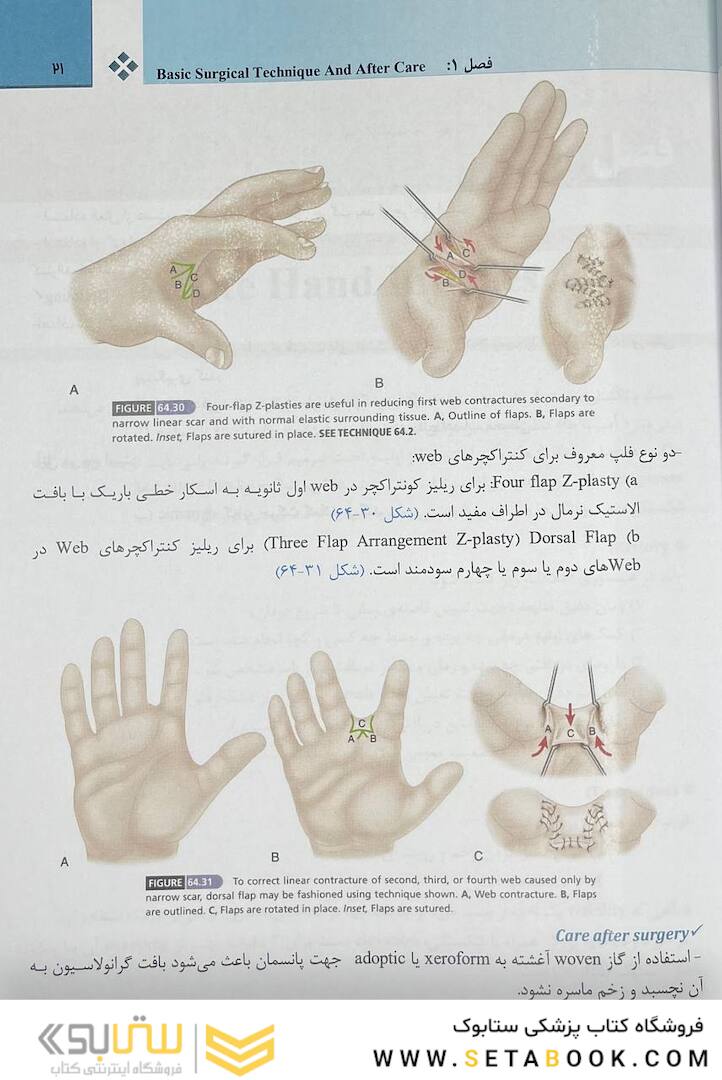 دست کمپل 2021