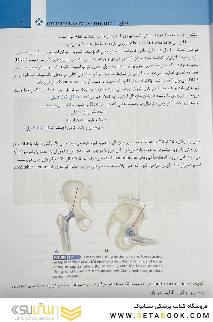 هیپ کمپل 2021