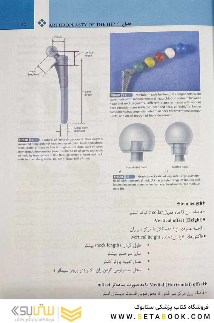 هیپ کمپل 2021