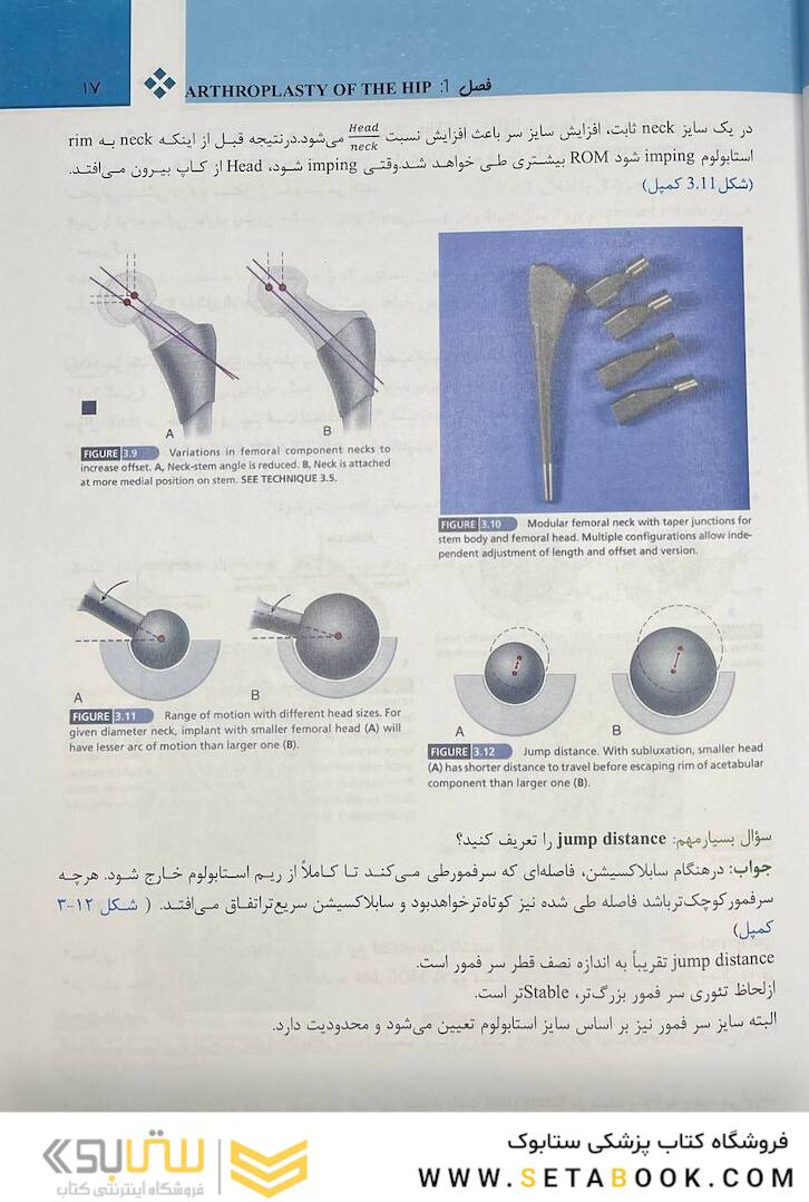 هیپ کمپل 2021