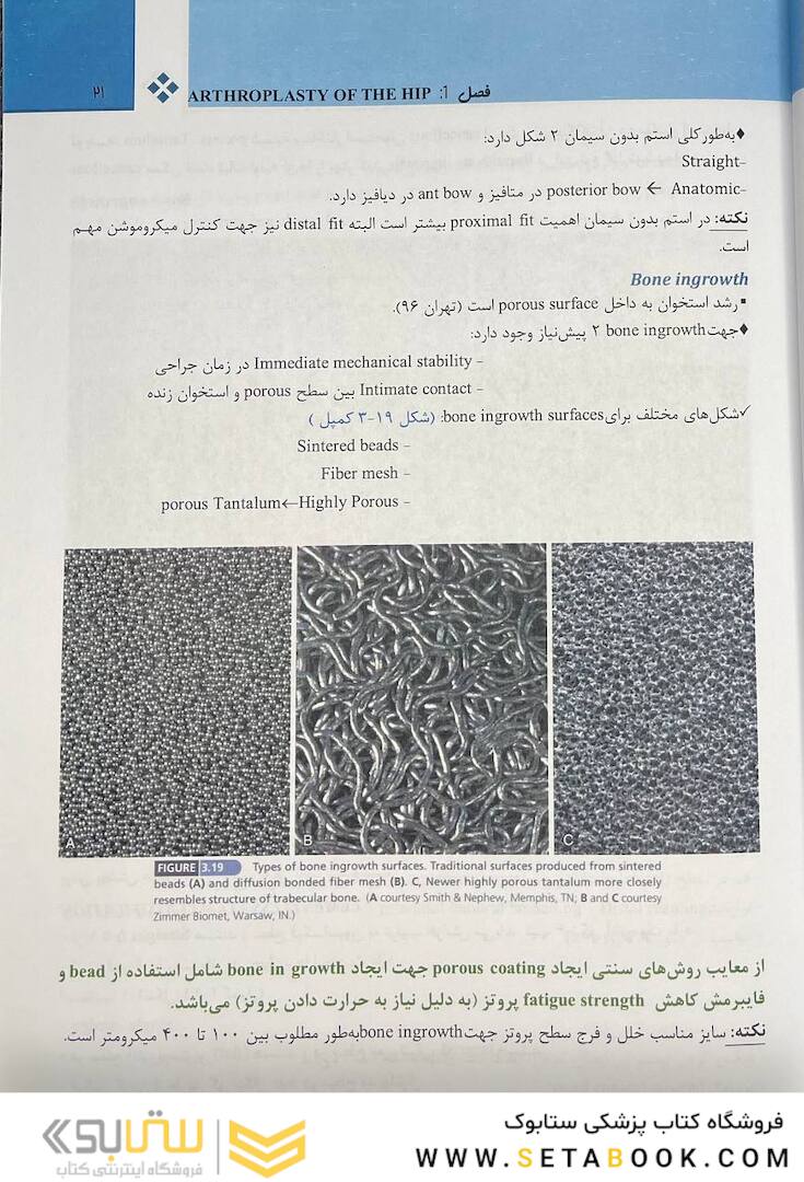 هیپ کمپل 2021