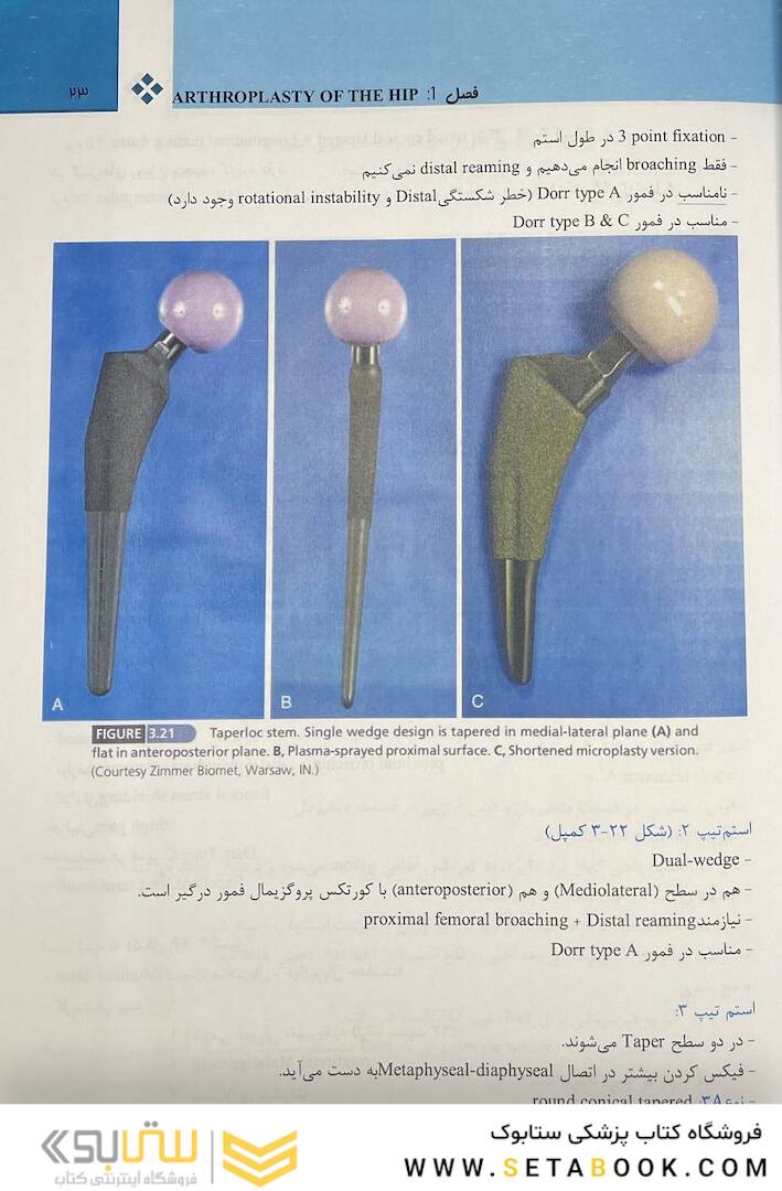 هیپ کمپل 2021