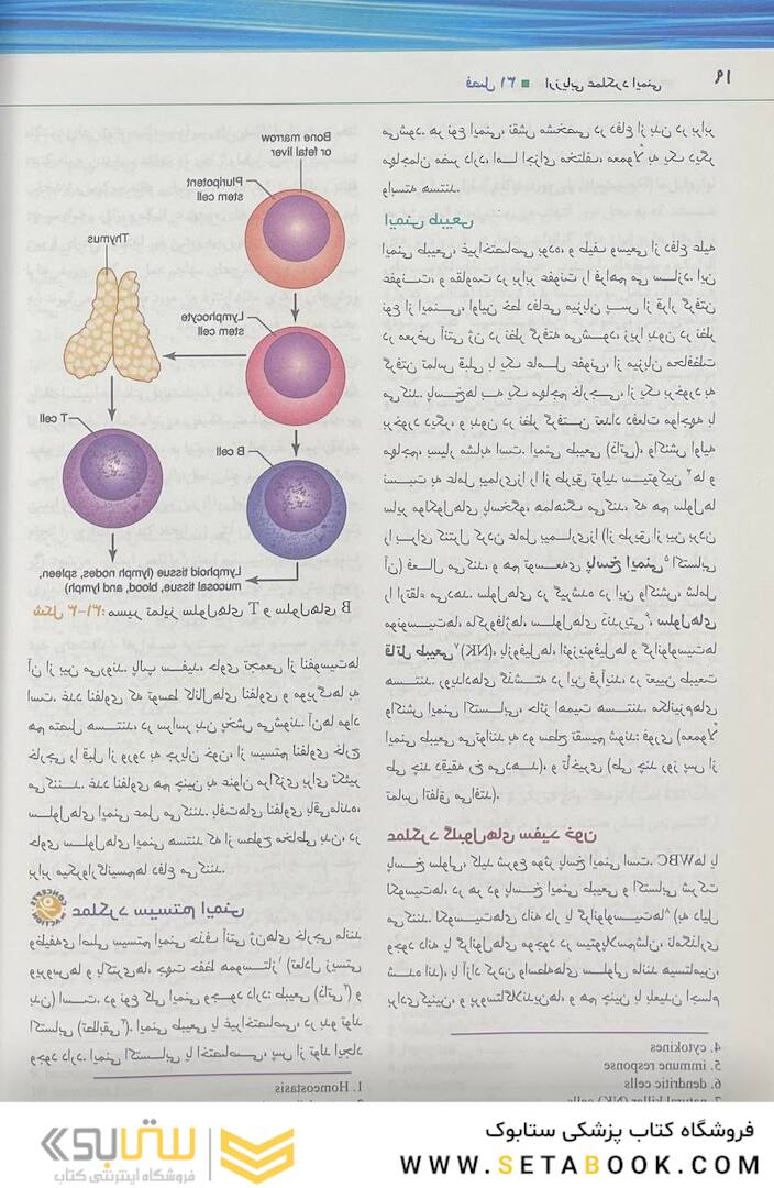 پرستاری داخلی و جراحی برونر و سودارث 2022 ایمونولوژی جلد 7