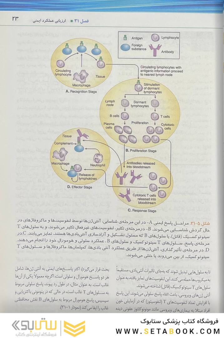 پرستاری داخلی و جراحی برونر و سودارث 2022 ایمونولوژی جلد 7
