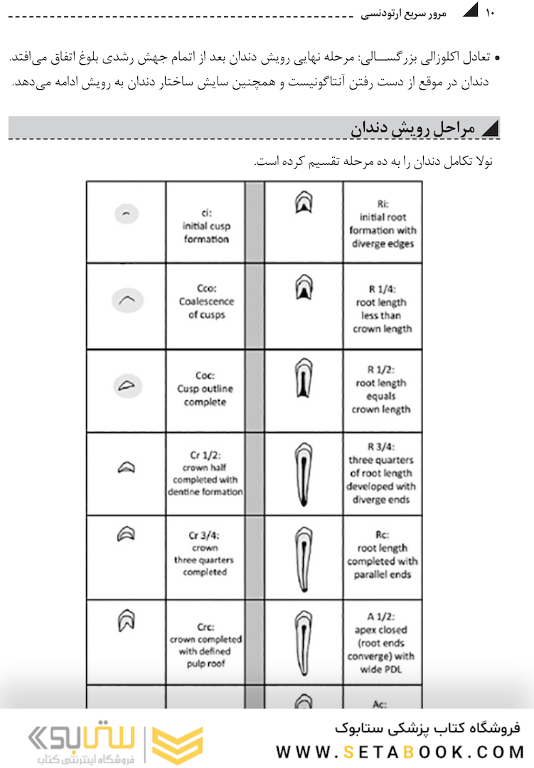 مرور سریع ارتودنسی