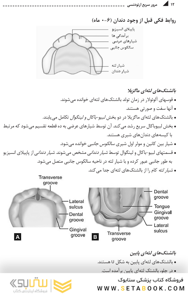 مرور سریع ارتودنسی