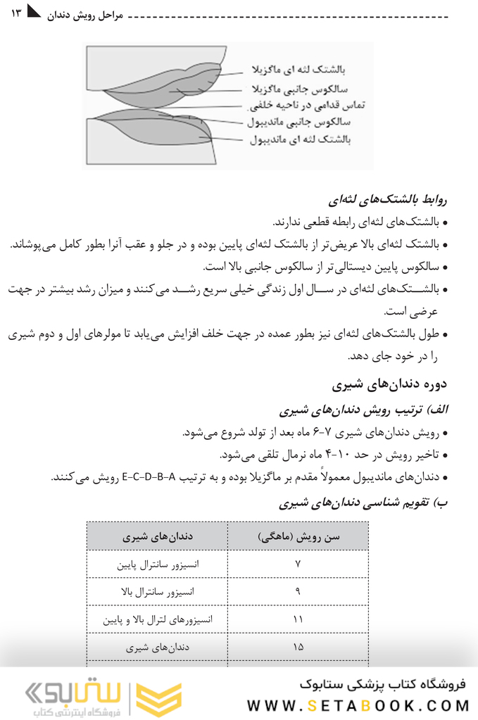 مرور سریع ارتودنسی