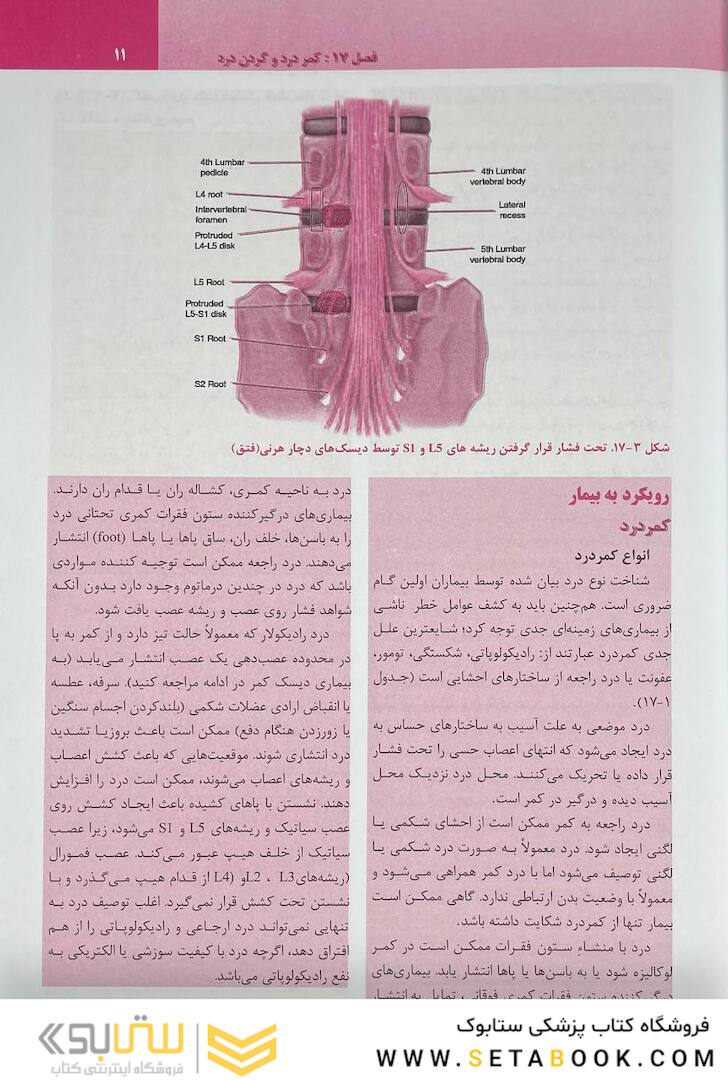 ترجمه کامل هاریسون 2022 بیماری  های روماتولوژی